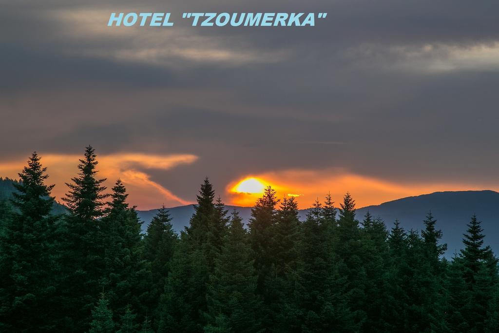 Hotel Tzoumerka Праманта Экстерьер фото